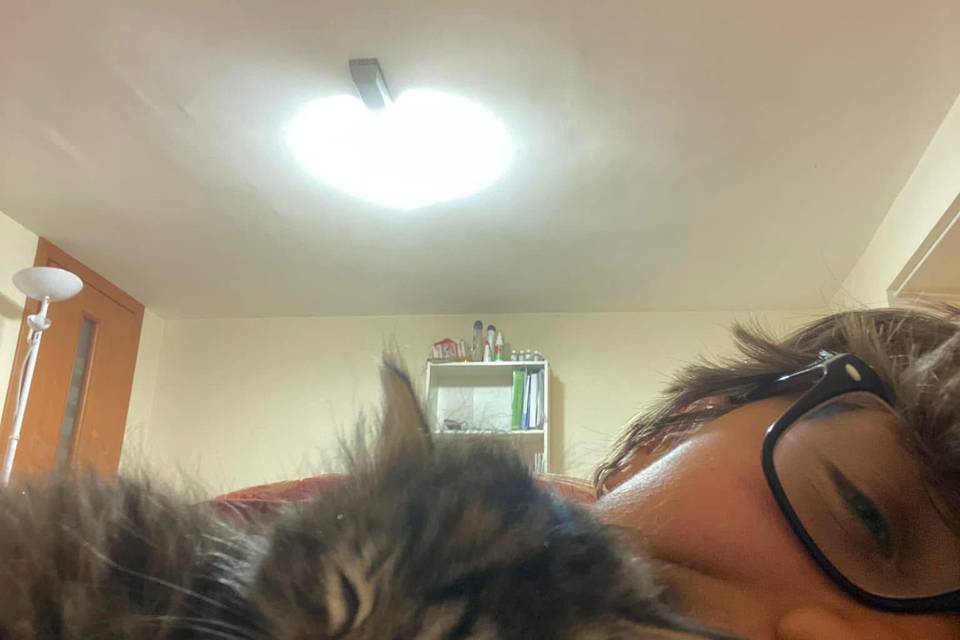 Gattina