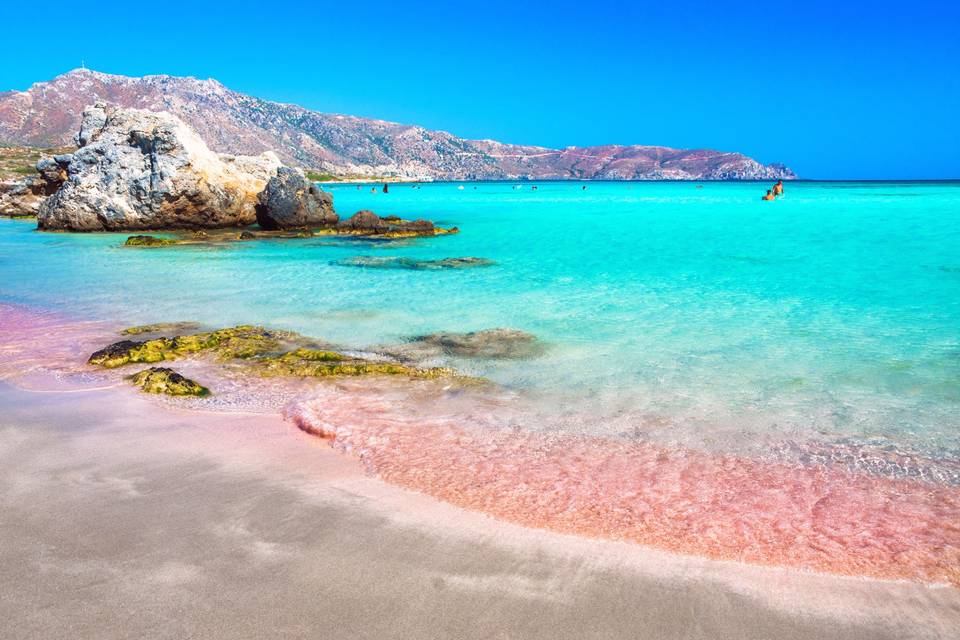 Spiaggia rosa di Elafonisi