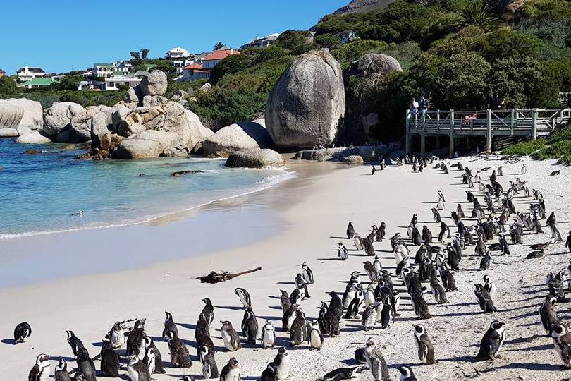 Boulders beach