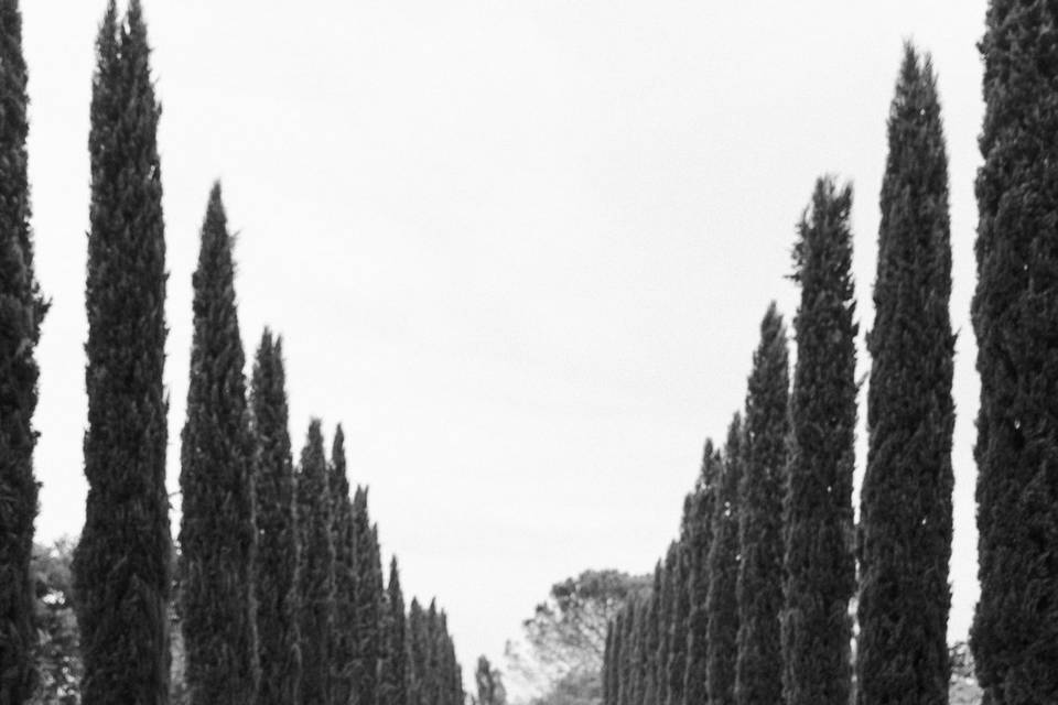 UN GIORNO D'AGOSTO