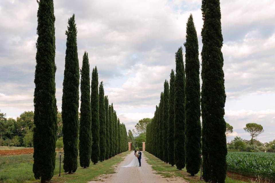IL SOGNO 