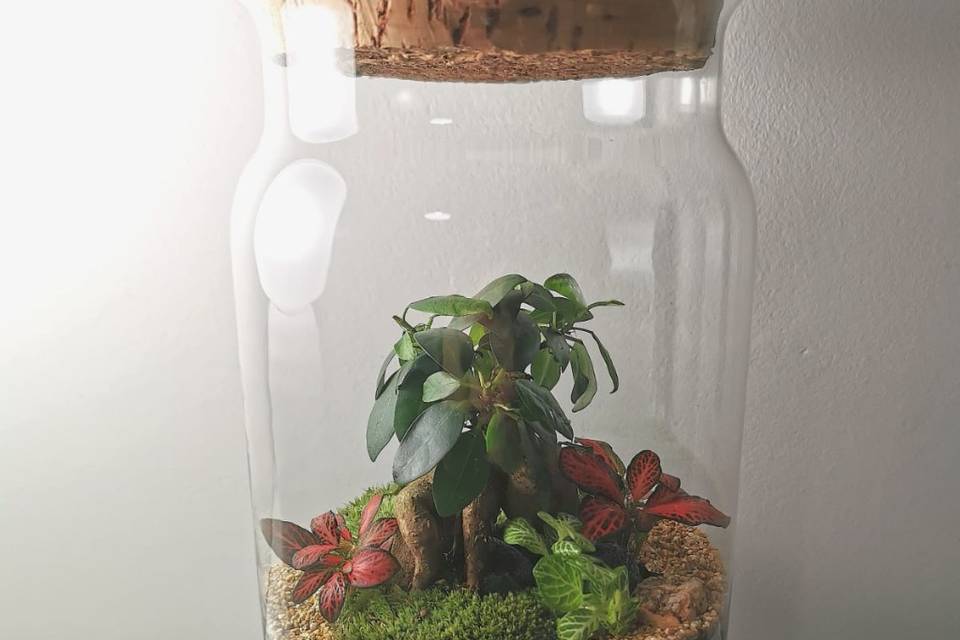 Terrario