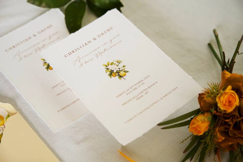Eleganza e freschezza