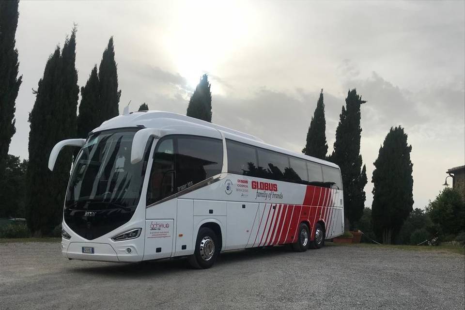 Schiavo Coach Company