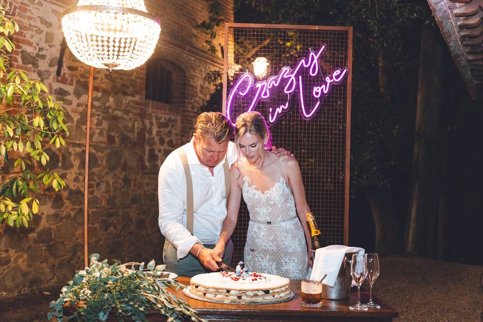 Led Sign wedding Alba