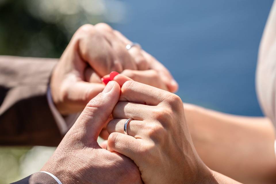 Dettaglio Promesse Nuziali