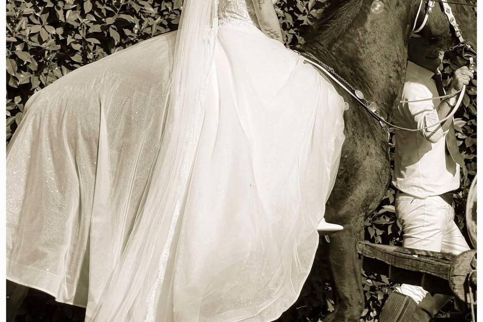 Marzia Sposa