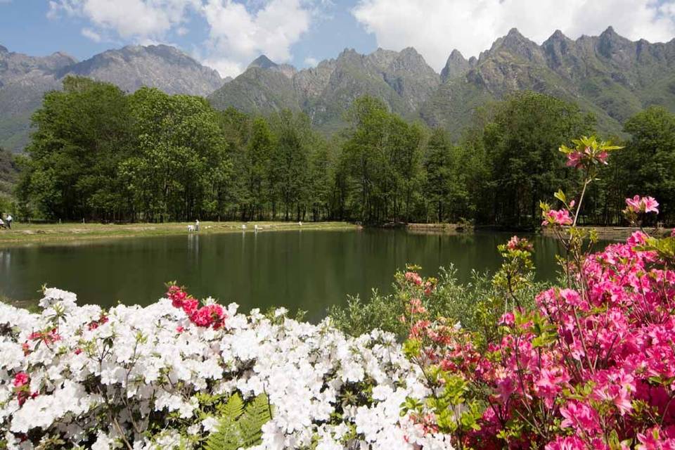 Lago delle Rose ad Ornavasso