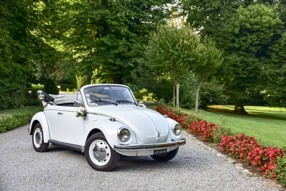 Volkswagen maggiolone