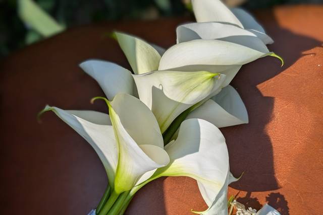 Bouquet sposa e bottoniera
