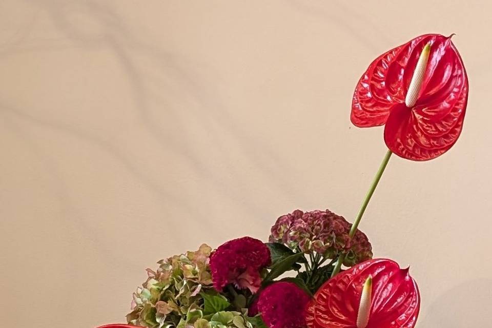 Composizione