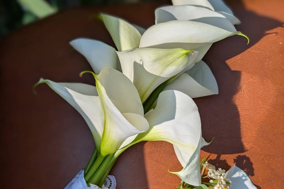 Bouquet sposa e bottoniera
