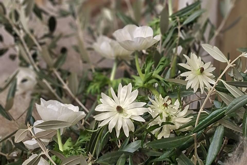 Primaverile