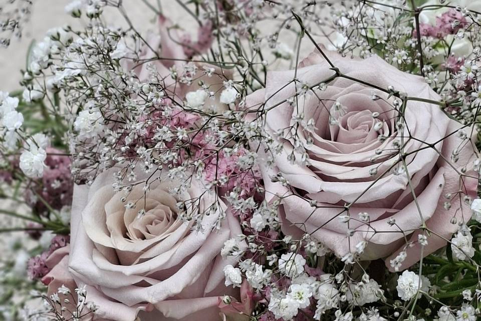 Rosa / wedding