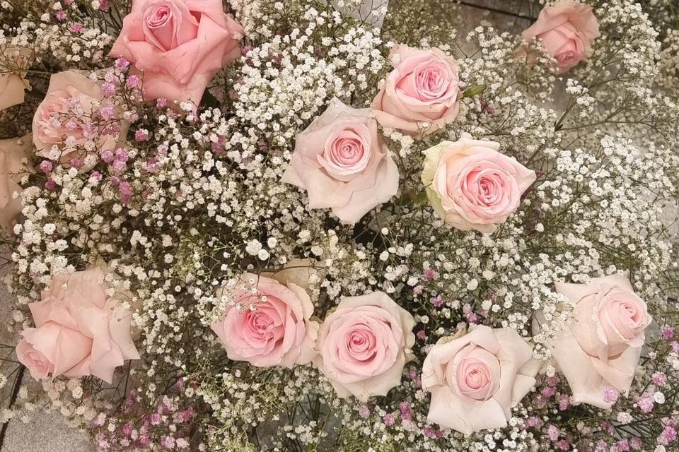 Rose e gipshofila