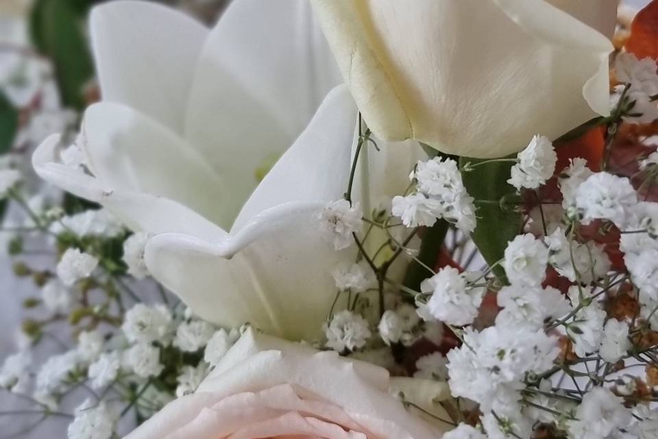 Rose Maya