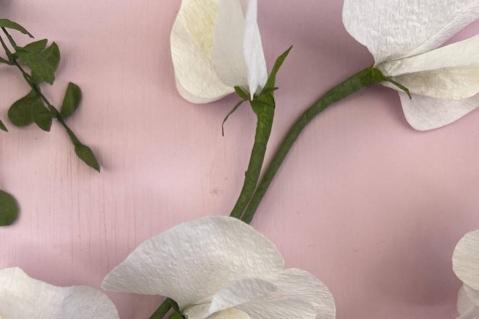 Fiori