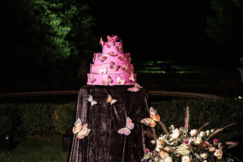 Taglio della torta 🎂