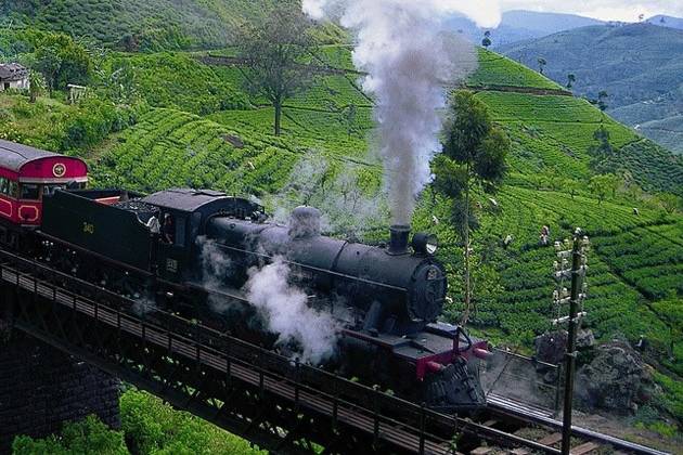 Train Nuwara Eliya