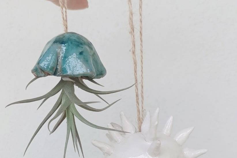 Le meduse