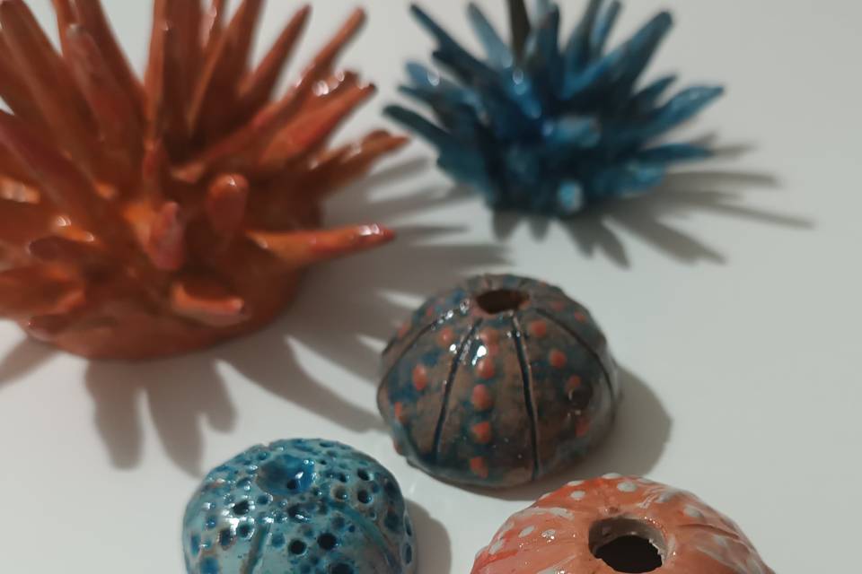 Ricci di mare