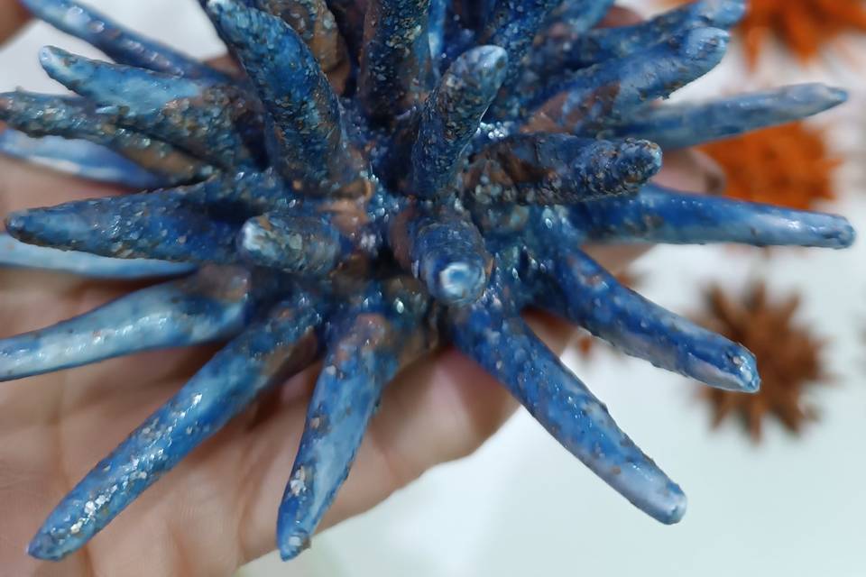 Ricci di mare