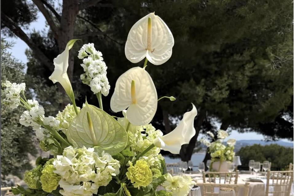 Verde e bianco fiori