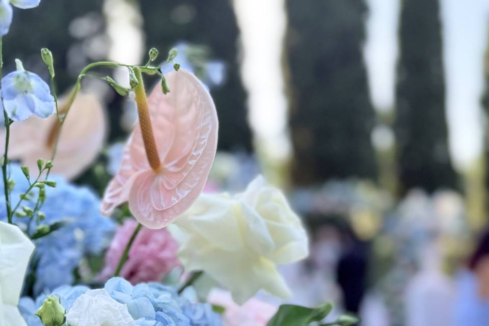 Colori pastello