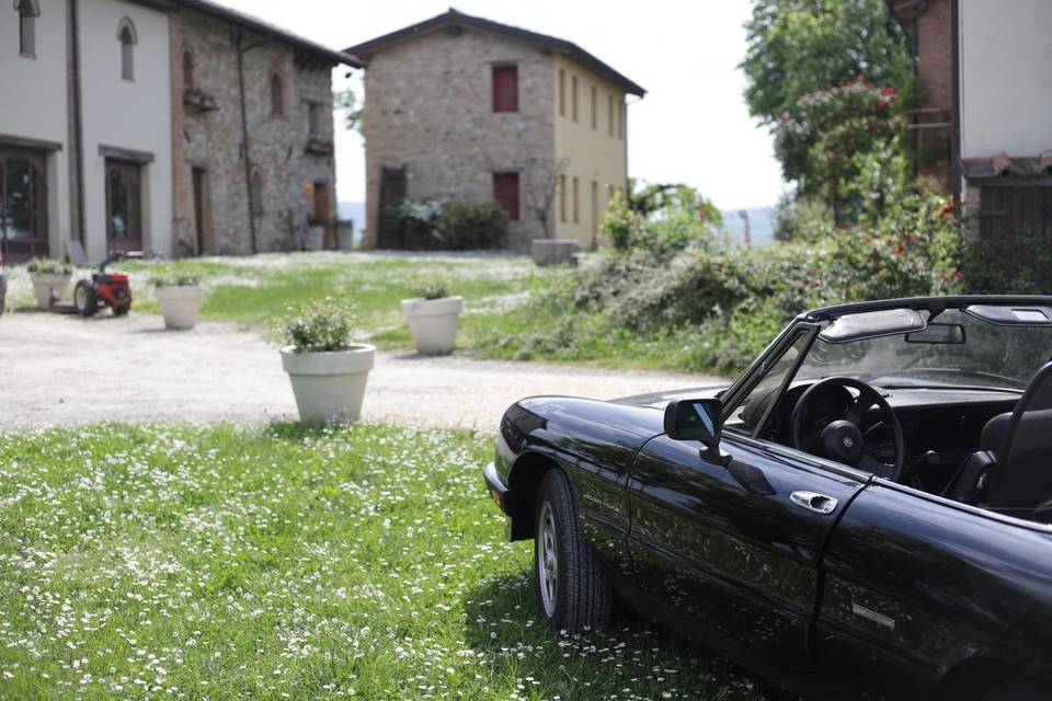 Alfa Romeo Duetto