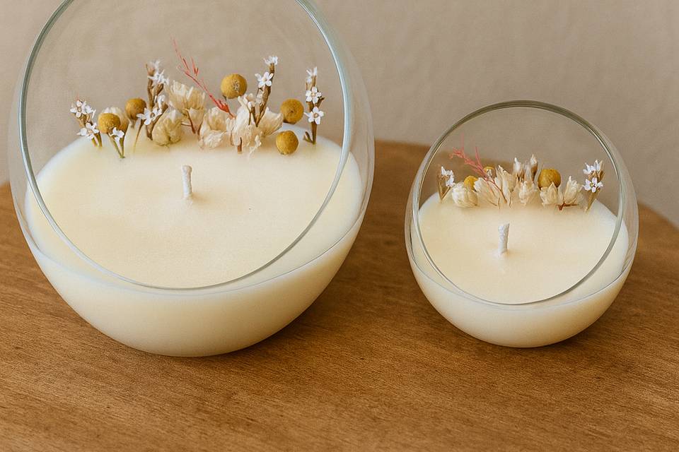 Candela botanica