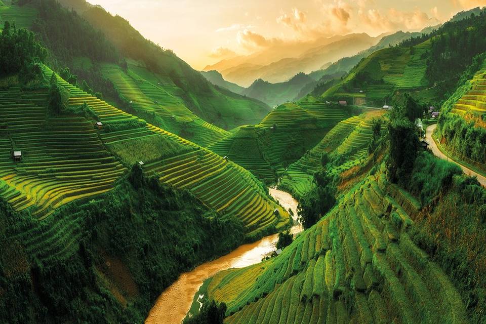 Risaie Vietnam