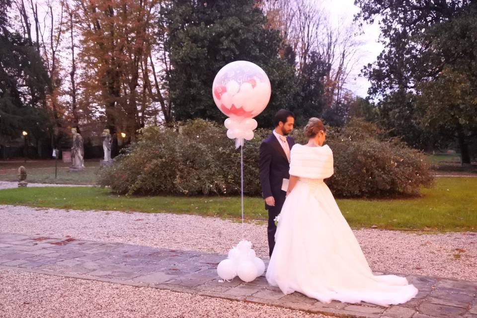 Giardino, mongolfiera ballon