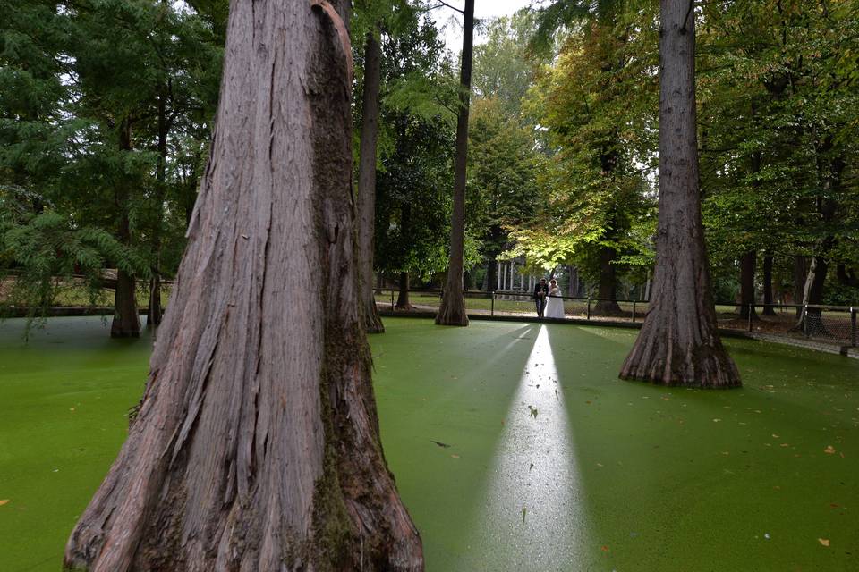 Villa Widmann Rezzonico Foscari