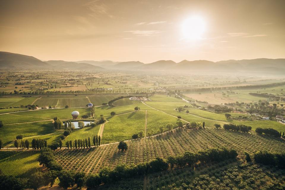 Arnaldo Caprai Winery