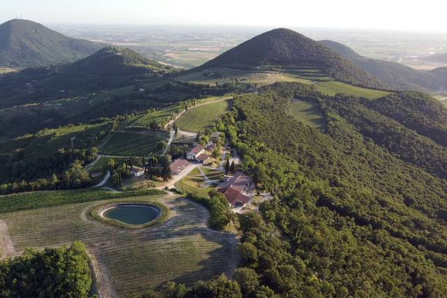 Le Volpi Monte Fasolo