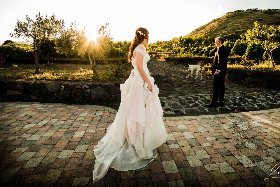 Cantine Nicosia Wine Wedding