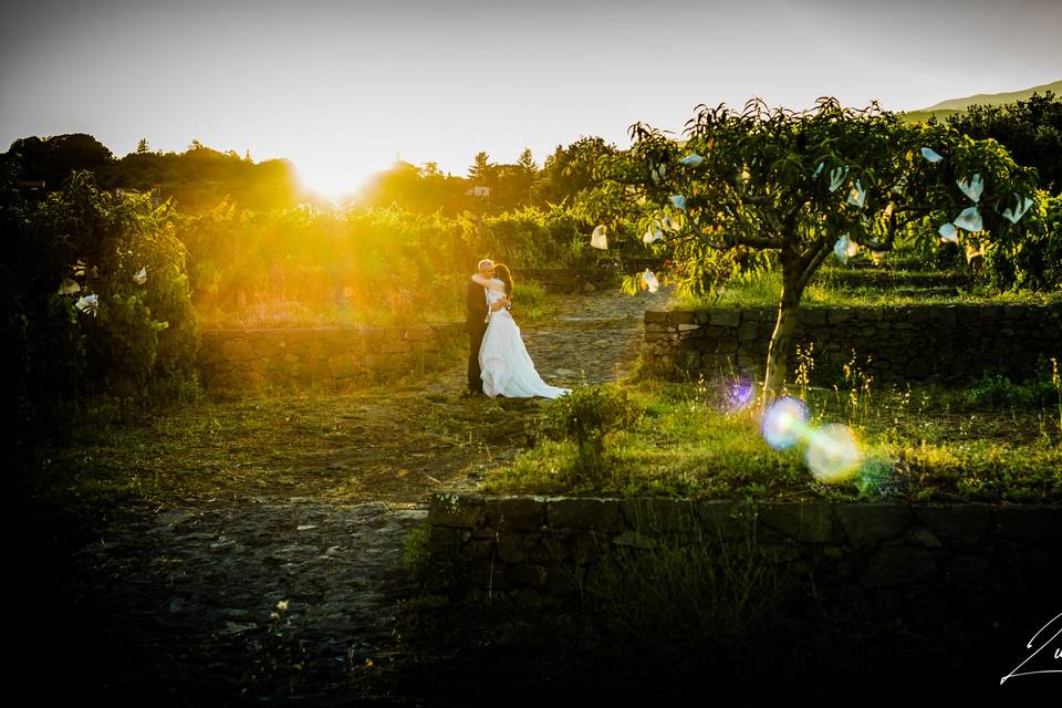 Cantine Nicosia Wine Wedding