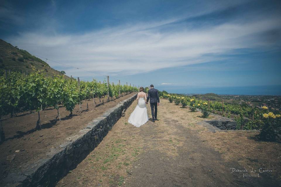 Cantine Nicosia Wine Wedding