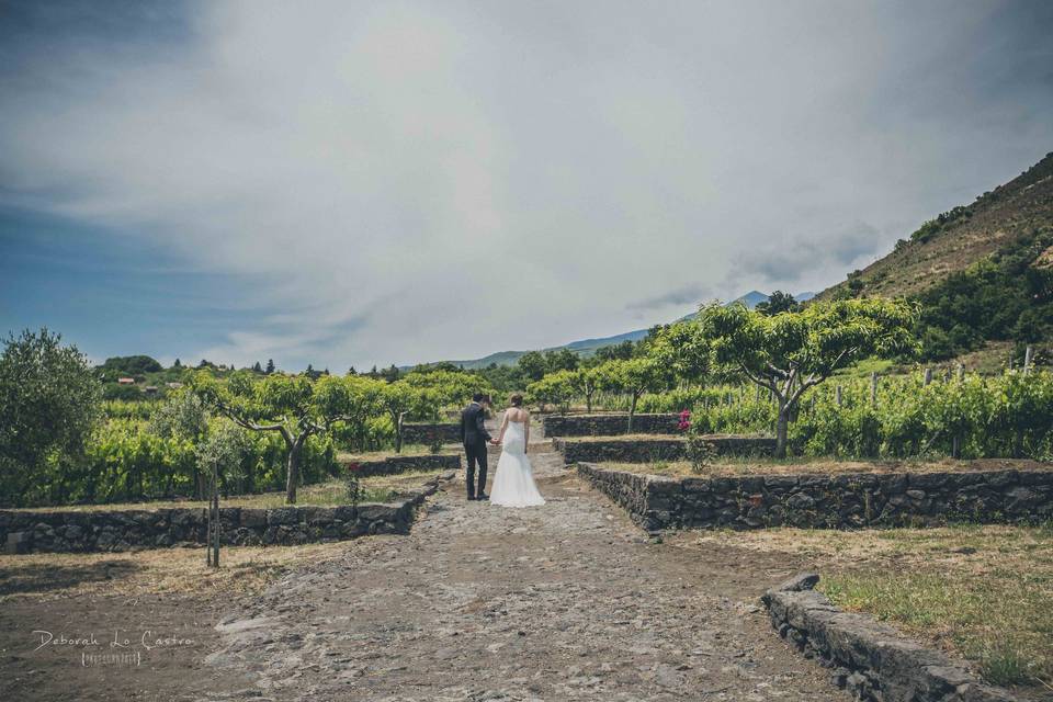 Cantine Nicosia Wine Wedding