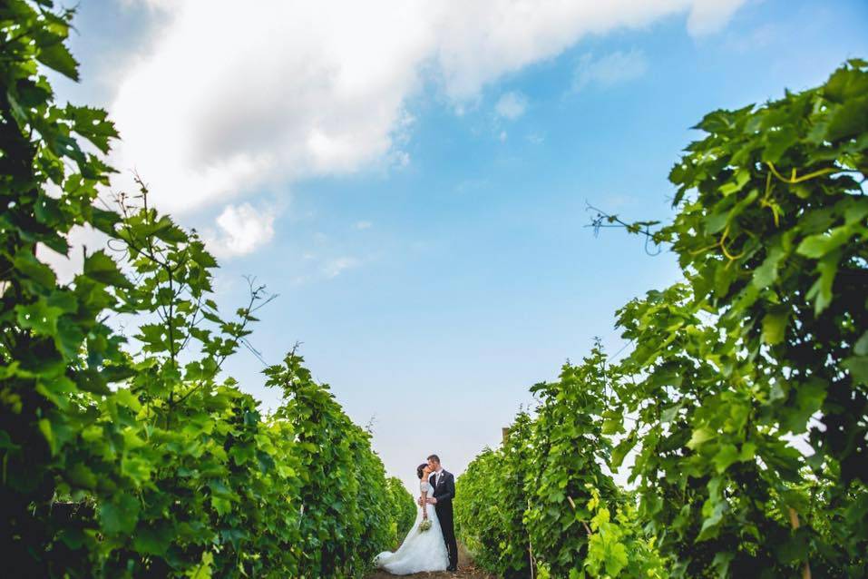 Wine wedding - Cantine Nicosia