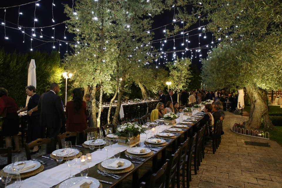 Cantine Nicosia Wine Wedding