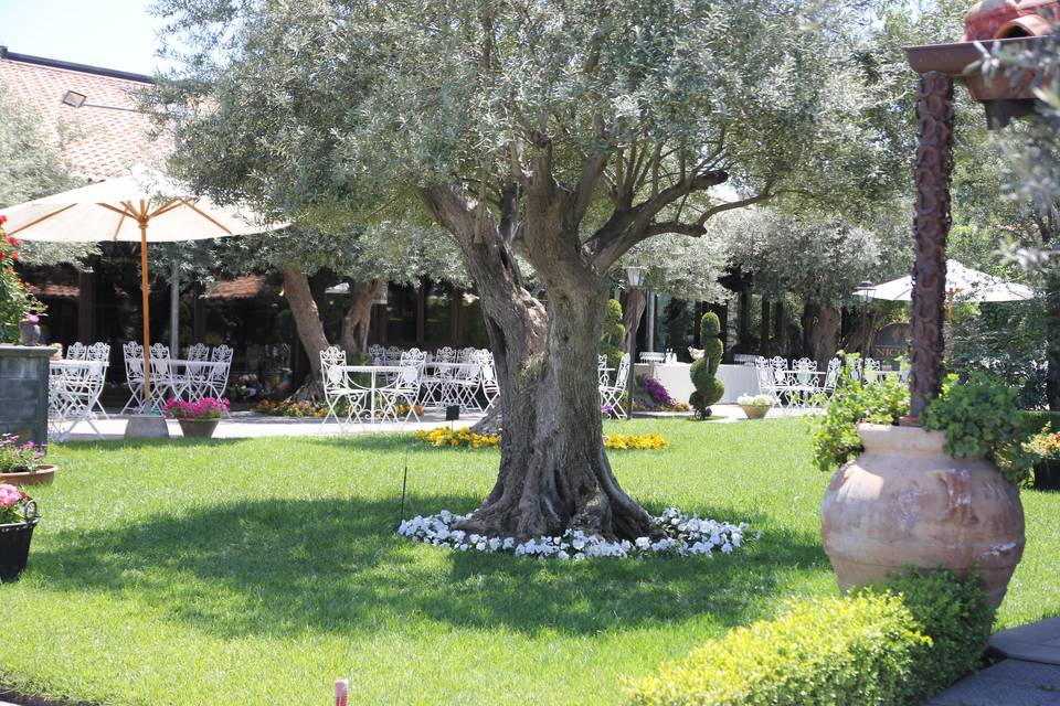 Cantine Nicosia Wine Wedding