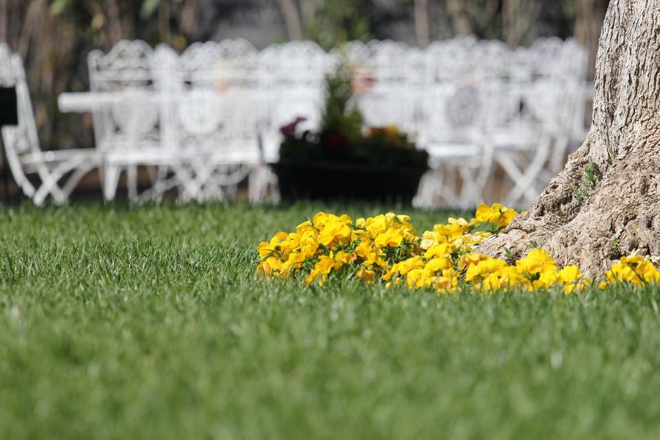 Cantine Nicosia Wine Wedding