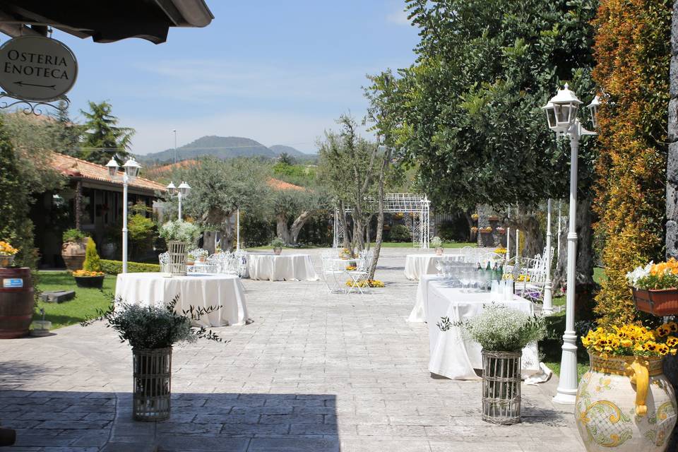 Cantine Nicosia Wine Wedding