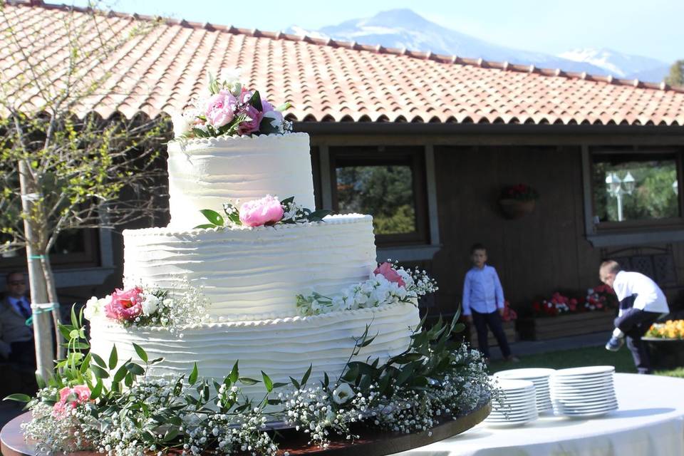 Cantine Nicosia Wine Wedding