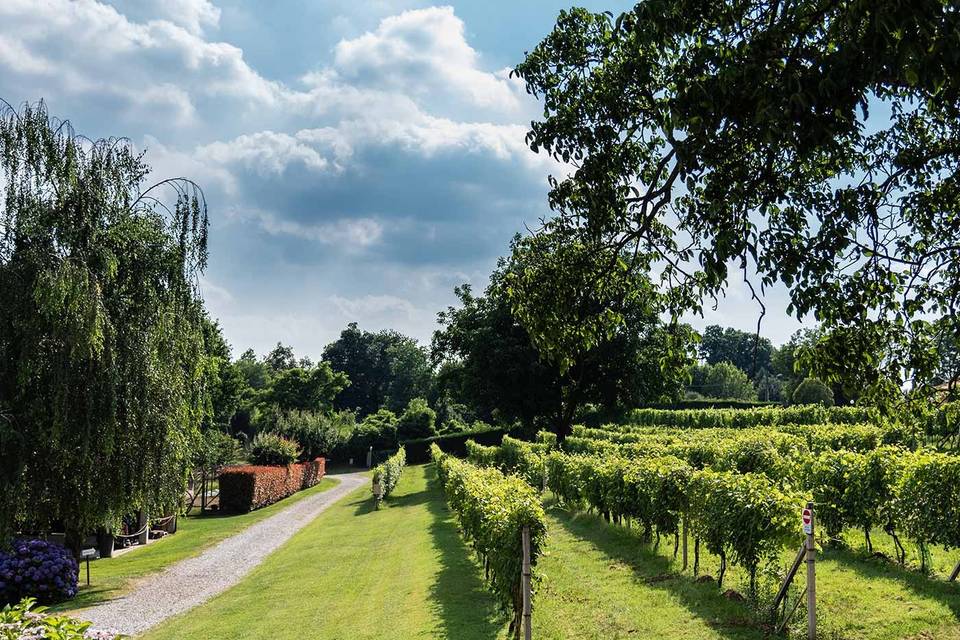 Tenuta Tovaglieri