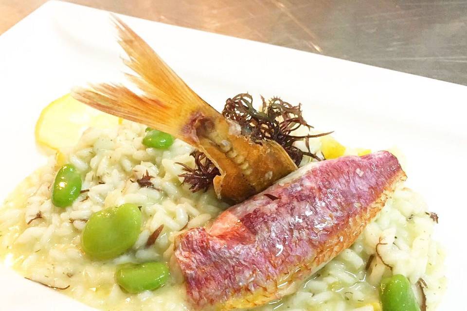 Risotto con fave e triglia