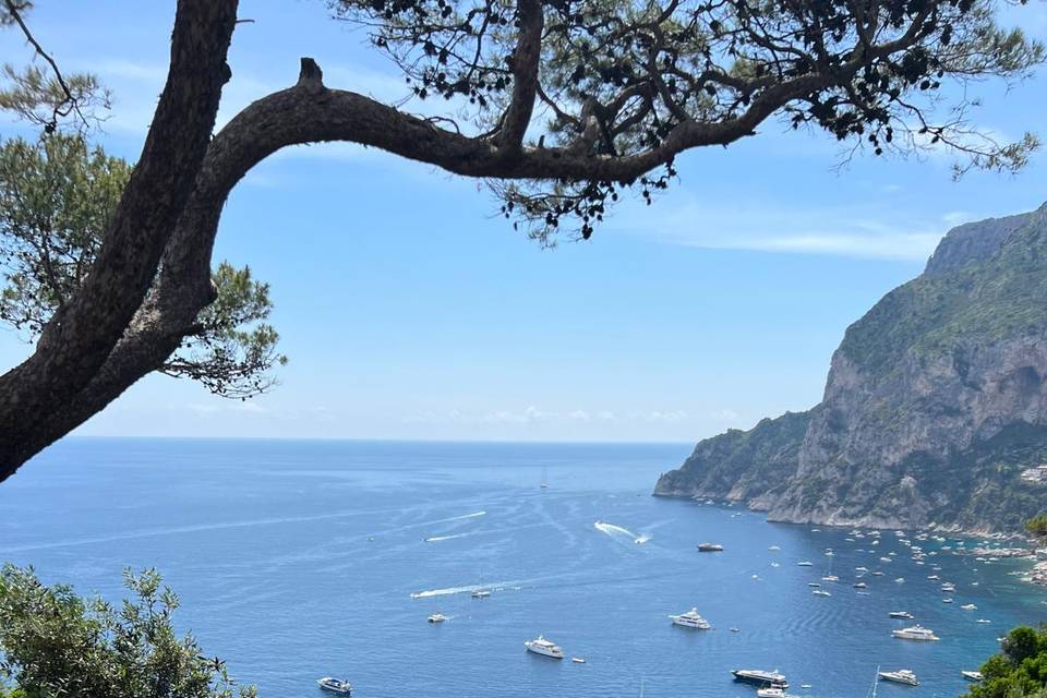 Capri