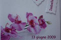 Albarò - Italy Wedding Planner