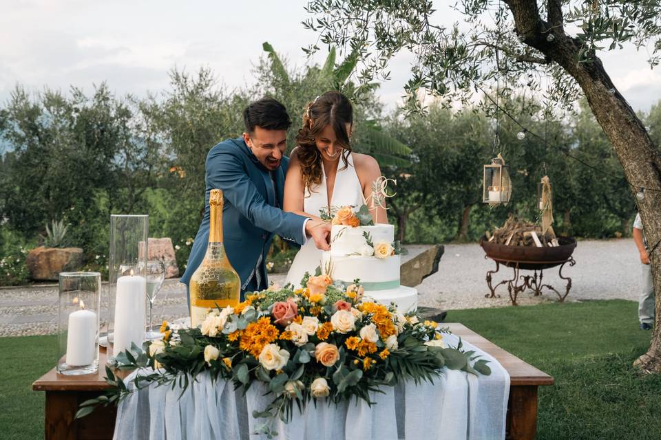 Taglio Torta